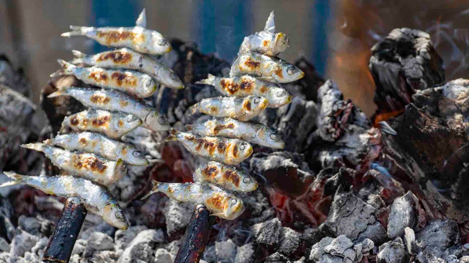 Espeto, Malaga style fish on stick barbecue prepared on olive tree firewoods